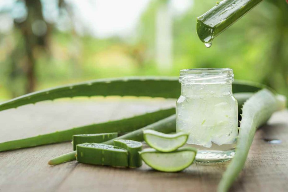 Produto de Aloe vera